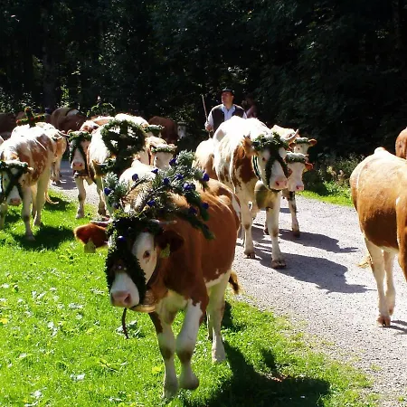 Trinkl Moos Apartman Bad Wiessee